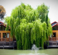 Perricoota Vines Retreat Echuca Moama - Events Australia