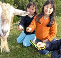 Johanna River Farm and Self Contained Cottages - Events Australia