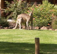 Southern Grampians Cottages - Events Australia