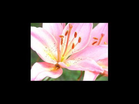 A Country House At Winstanley - Events Australia 3