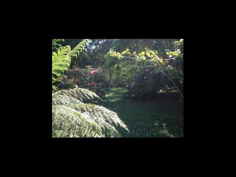 A Country House At Winstanley - Events Australia 4