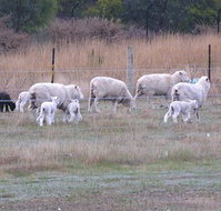 Auberge Woodend - Events Australia