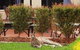 Alpha Canberra Hotel And Apartments - thumb 1