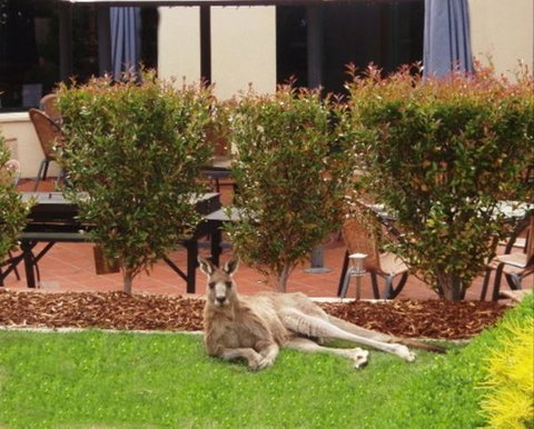 Alpha Canberra Hotel And Apartments - Tourism Bookings 1
