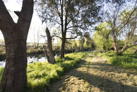 Fossickers' Tourist Park - Tourism Bookings 9