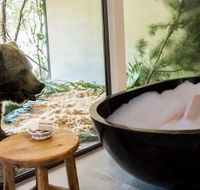 Jamala Wildlife Lodge - Tourism Bookings