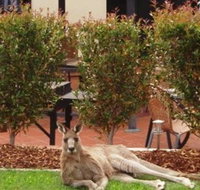 Alpha Canberra Hotel and Apartments - Events Australia