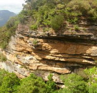 Blackheath Glen Tourist Park - Events Australia