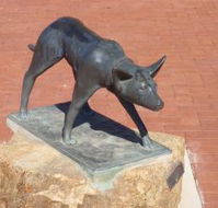The Ardlethan Kelpie Caravan Park - Events Australia