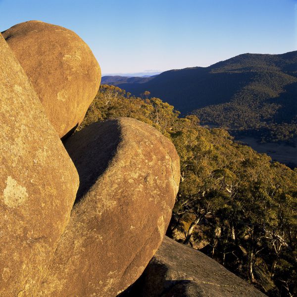 Weston ACT Tourism Bookings