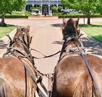 Hunter Valley Horses - Tourism Bookings