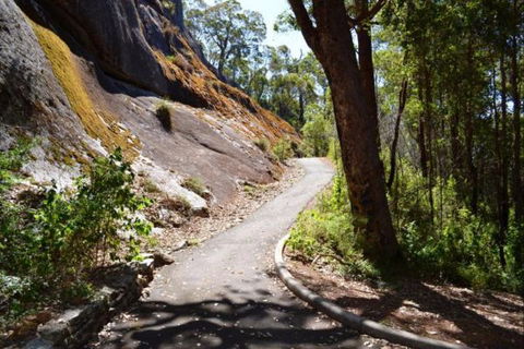 Wolfe Creek Crater Camp At Wolfe Creek Crater National Park - Events Australia 39