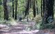 Wolfe Creek Crater Camp At Wolfe Creek Crater National Park - thumb 38