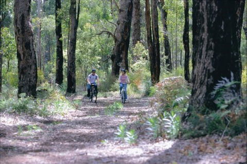 Wolfe Creek Crater Camp At Wolfe Creek Crater National Park - Events Australia 38