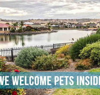 PetLet Kensington Road Norwood - Tourism Bookings