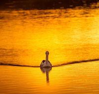 River Shack Rentals - Living the Dream - Events Australia