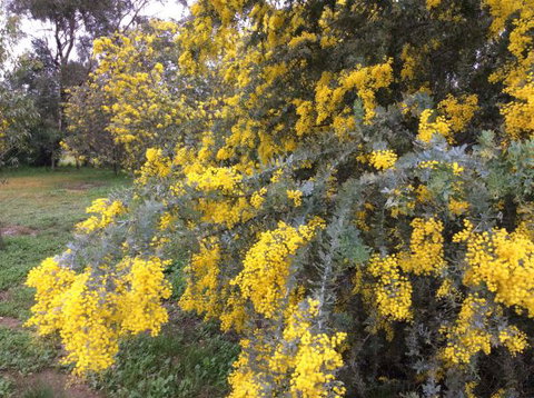 Balcraggon Accommodation - Tourism Bookings 8