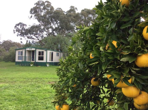 Balcraggon Accommodation - Tourism Bookings 9