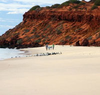 Herald Bight Camp at Francois Peron National Park - Events Australia