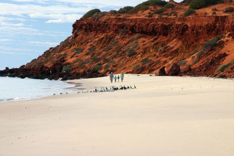 Herald Bight Camp At Francois Peron National Park - Tourism Bookings 0