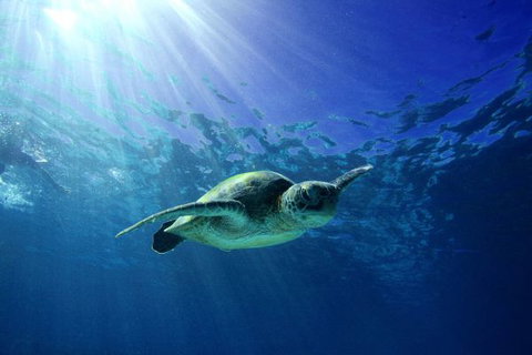 Mackerel Islands - Events Australia 6