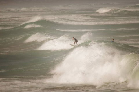 Norfolks - Tourism Bookings 6