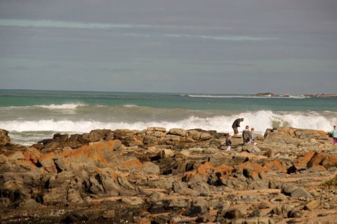 Norfolks - Tourism Bookings 7