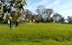 Tiers View Bed And Breakfast - thumb 1