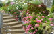 Tiers View Bed And Breakfast - thumb 3