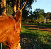 Billa Billa Farm Cottages - Events Australia