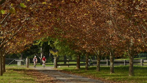 Promised Land Retreat - Accommodation Europe 9