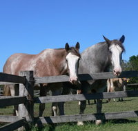 Clydesdale Motel and Steakhouse - Events Australia