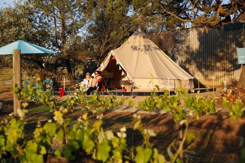 Grapevine Glamping - Tourism Bookings 0