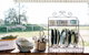 Grapevine Glamping - thumb 3