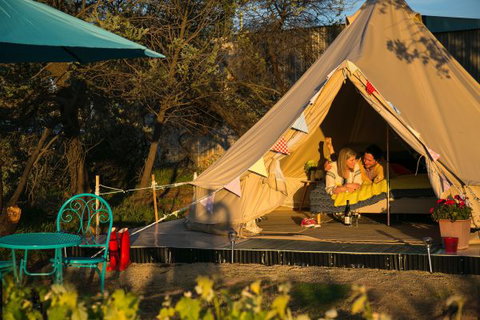 Grapevine Glamping - Tourism Bookings 5