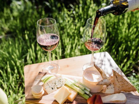 Grapevine Glamping - Tourism Bookings 8