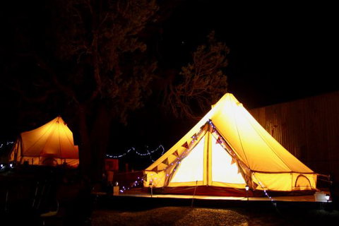 Grapevine Glamping - Tourism Bookings 9