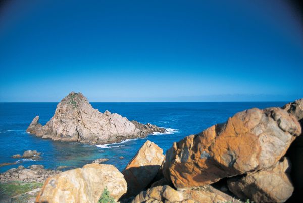 Boranup WA Tourism Bookings