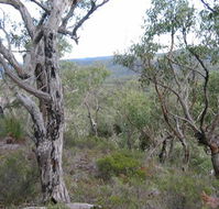 The Glen - Tourism Bookings