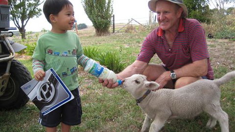 Bellevue Farmstay - Tourism Bookings 1