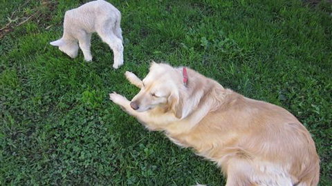 Bellevue Farmstay - Tourism Bookings 2