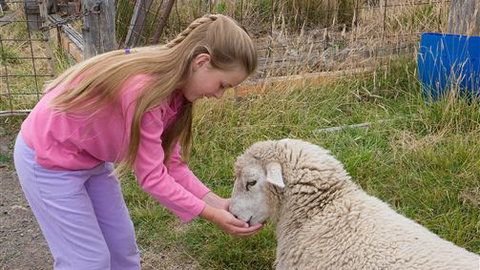 Bellevue Farmstay - Tourism Bookings 3