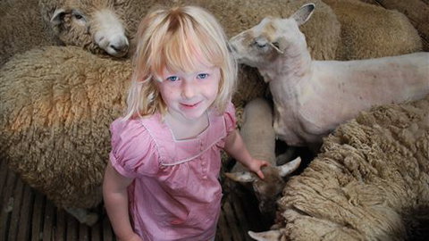 Bellevue Farmstay - Tourism Bookings 4