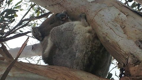 Bellevue Farmstay - Tourism Bookings 7