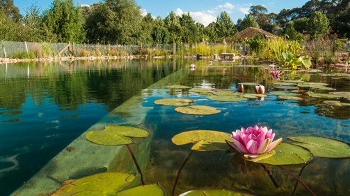 Stanley VIC Events Australia