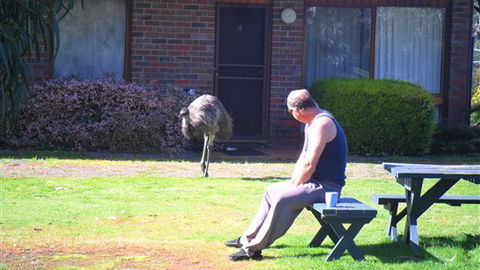 Halls Haven Resort - Tourism Bookings 7