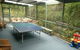 Hazelwood Cottage - thumb 5