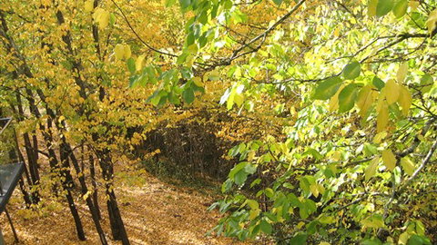 Saltus Luxury Accommodation - Events Australia 6