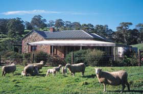 Ashbourne SA Events Australia
