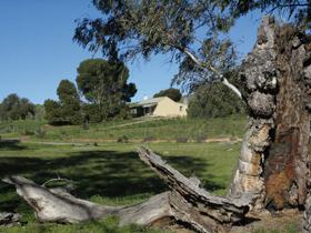Saunders Gorge Sanctuary - Boundary Cottage - Events Australia 3